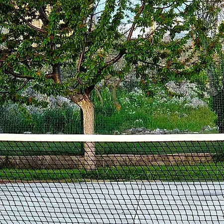 Villa Ana With A Private Pool On A 3000m2 *