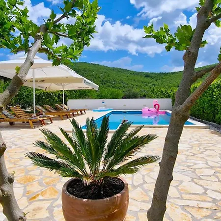 Ana With A Private Pool On A 3000m2